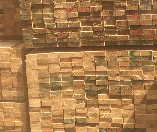 石台新西兰进口松木