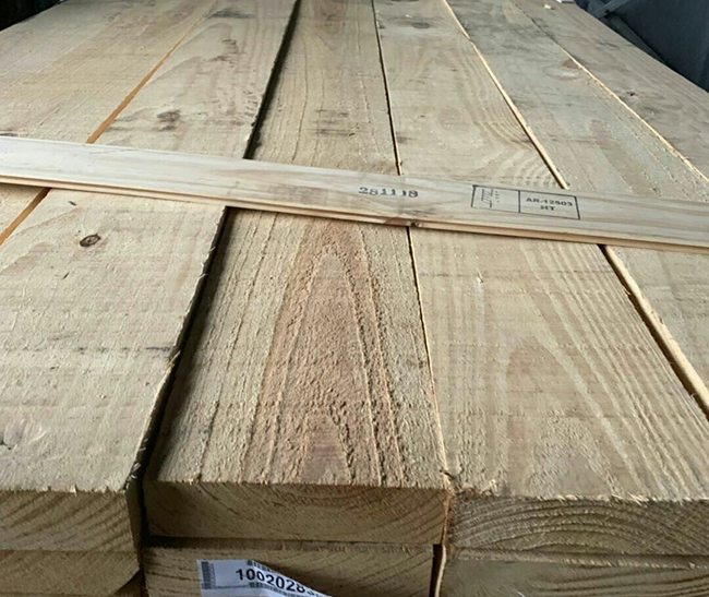 石台阿根廷松木